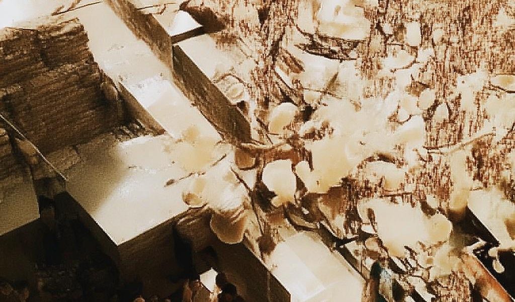 小红书创作者如何赚钱缩略图